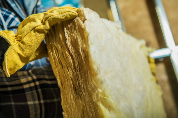 Best Insulation Maintenance and Repair in Des Peres, MO