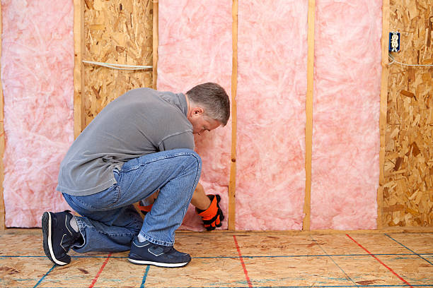 Best Energy Efficiency Solutions in Des Peres, MO